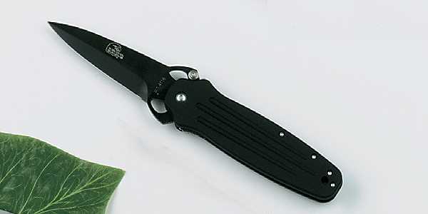 Bild Nr. 02 Pentagon Black Blitz Iron Eagle Folder Dolch Taschenmesser 