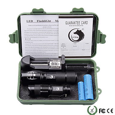 LED Taschenlampen-Set in Box